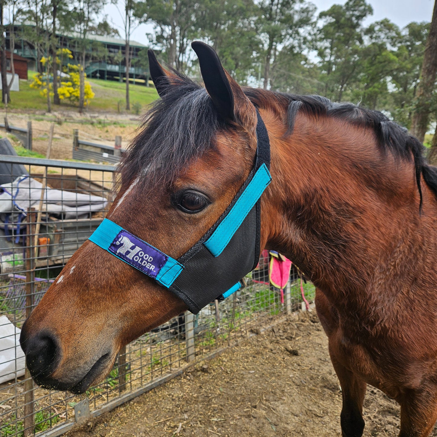 PONY Hood Holder EOFY SALE