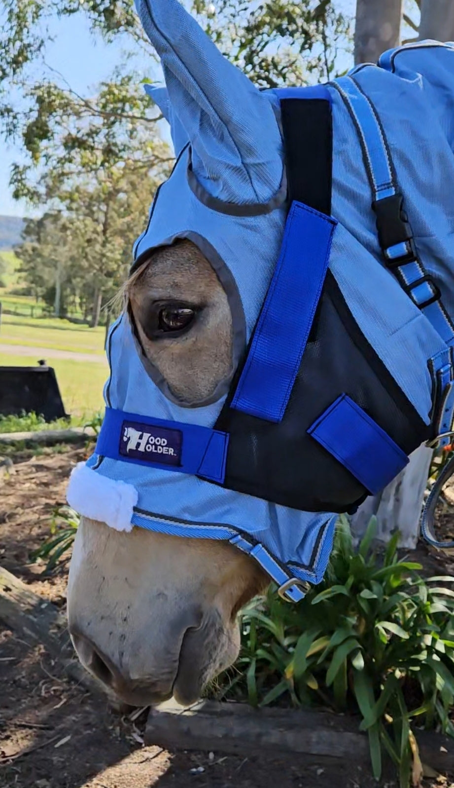 CLYDESDALE Hood Holder