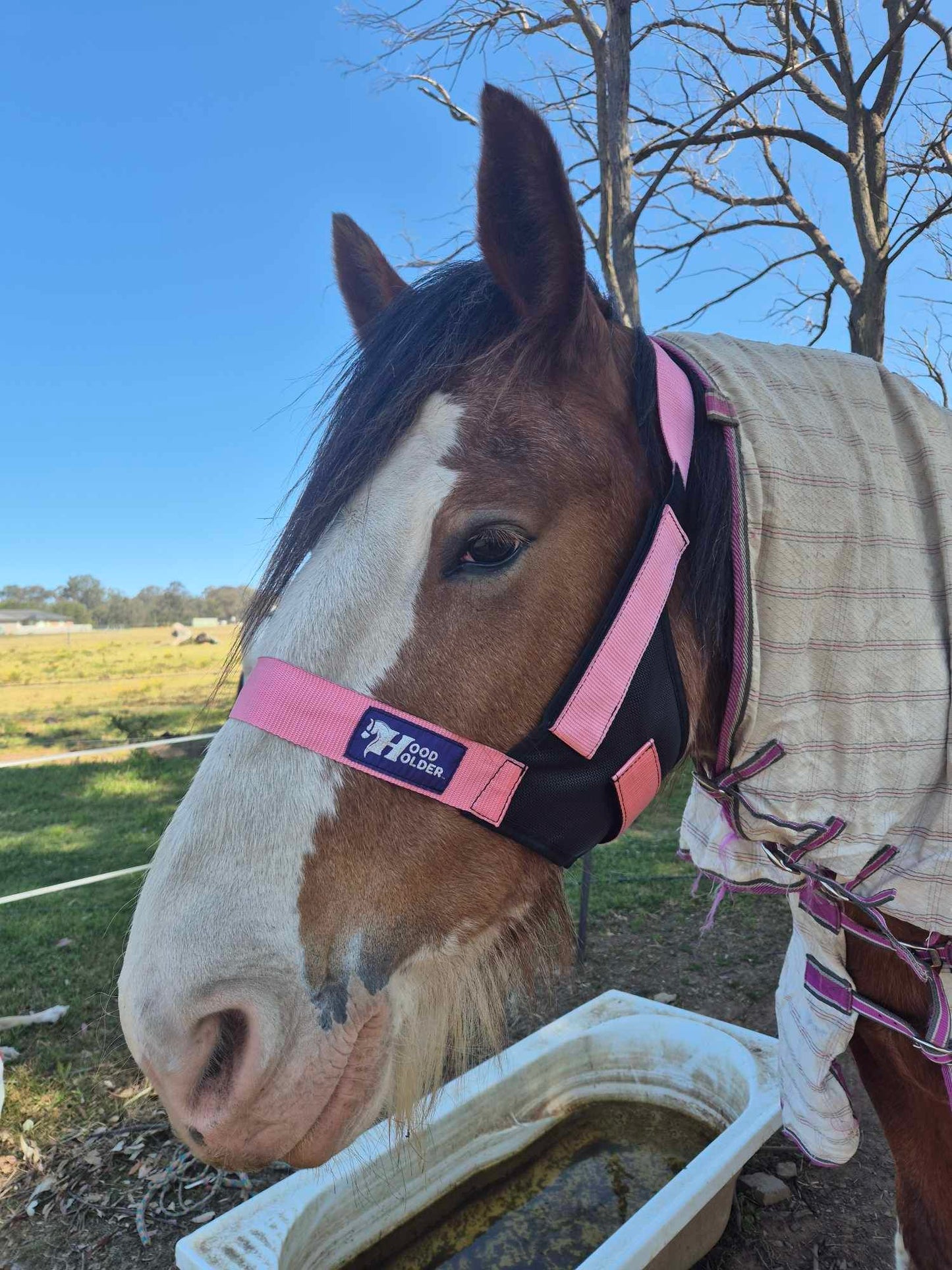 CLYDESDALE Hood Holder