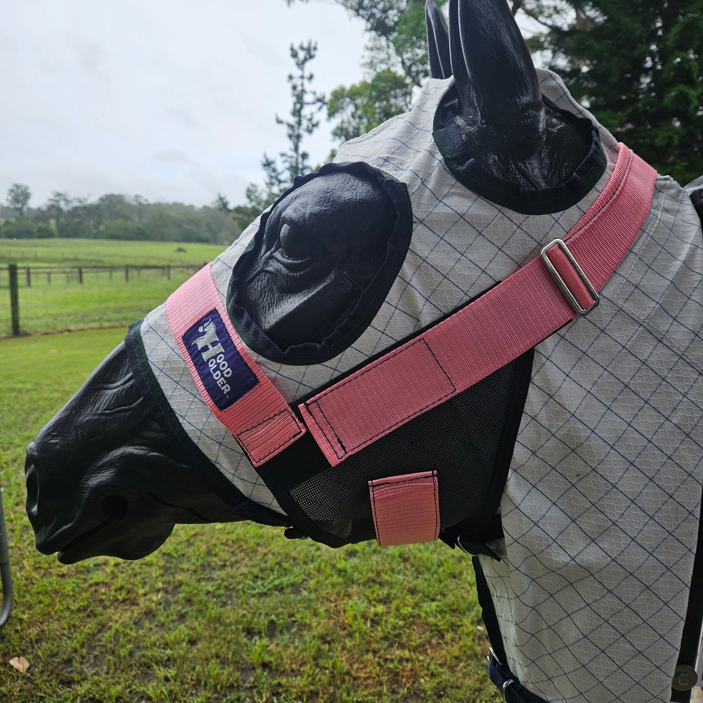 STANDARD size EOFY SALE