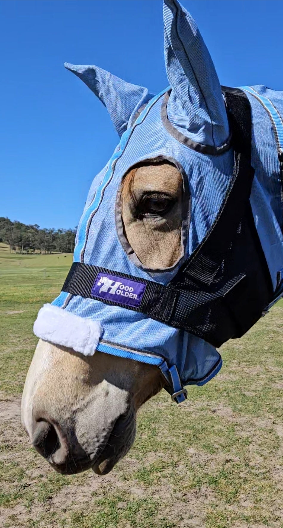 CLYDESDALE Hood Holder