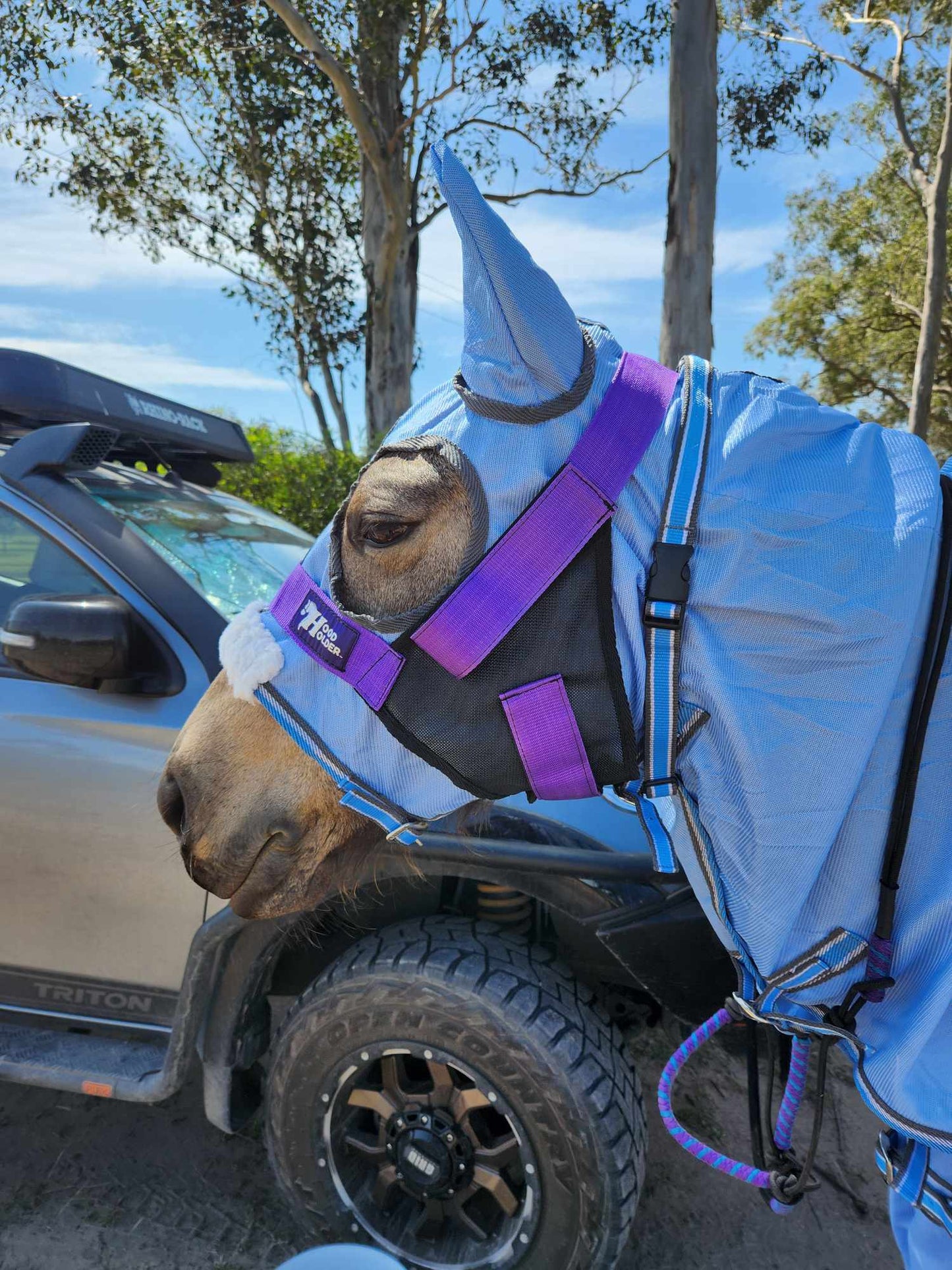 Original STANDARD Hood Holder