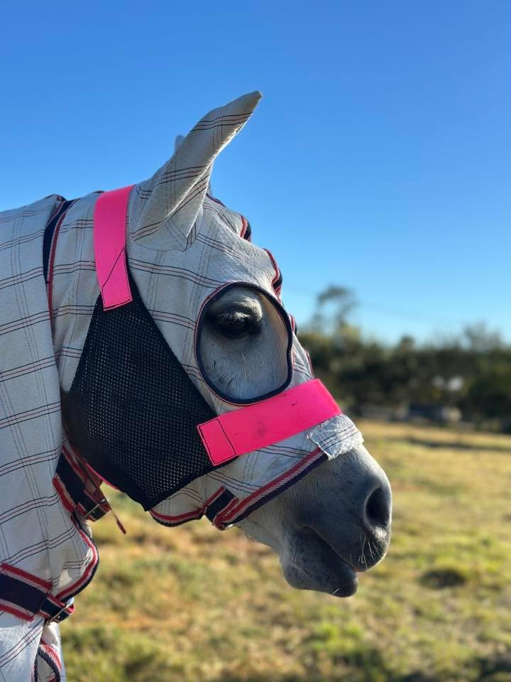 LARGE PONY Hood Holder