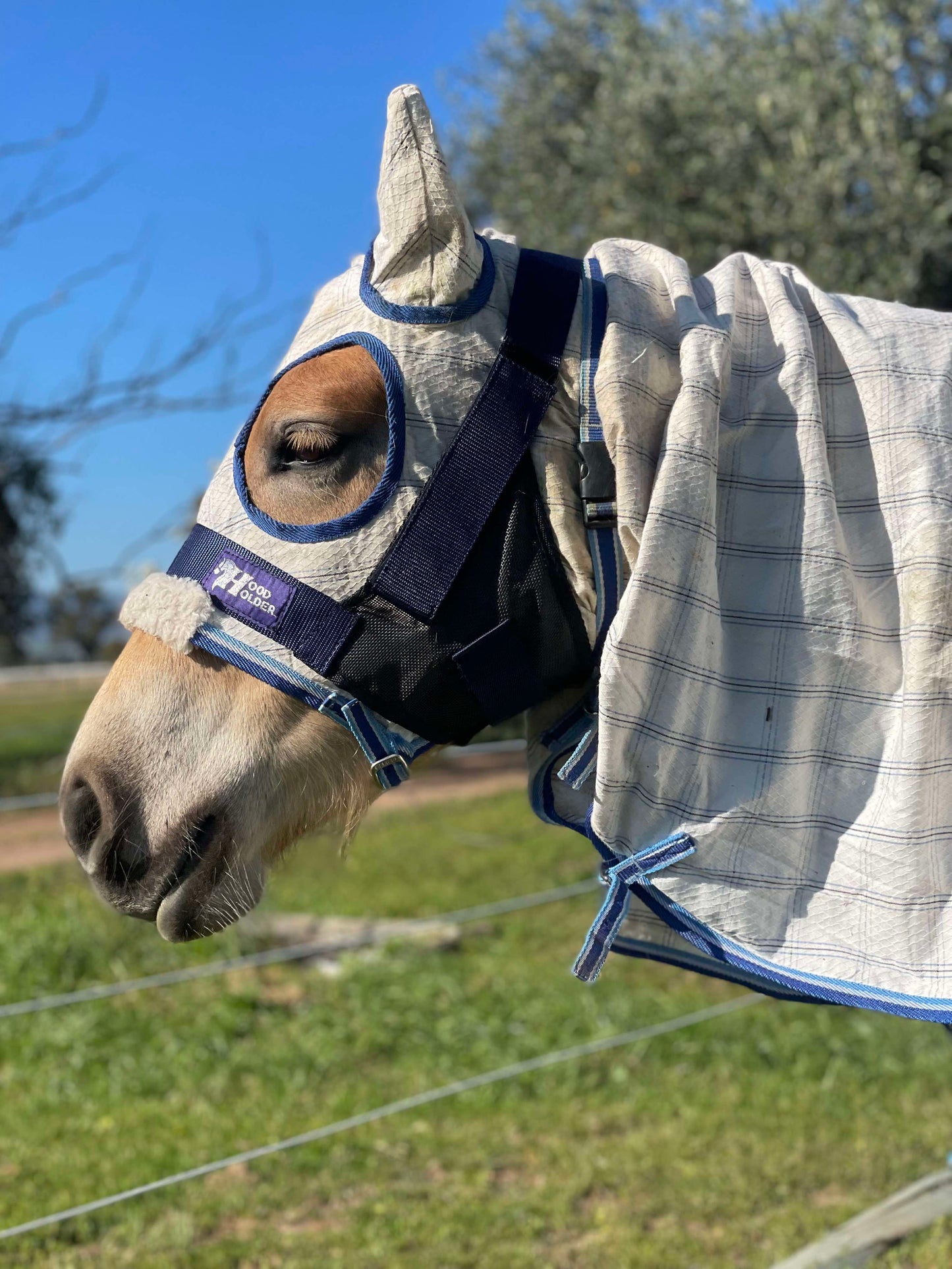 CLYDESDALE Hood Holder