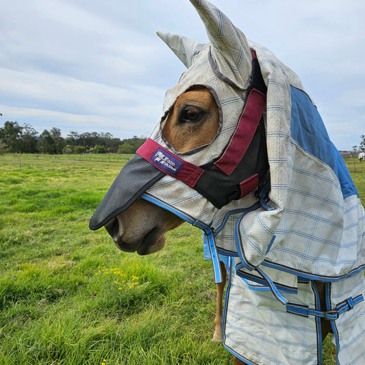 STANDARD: Nose Covers