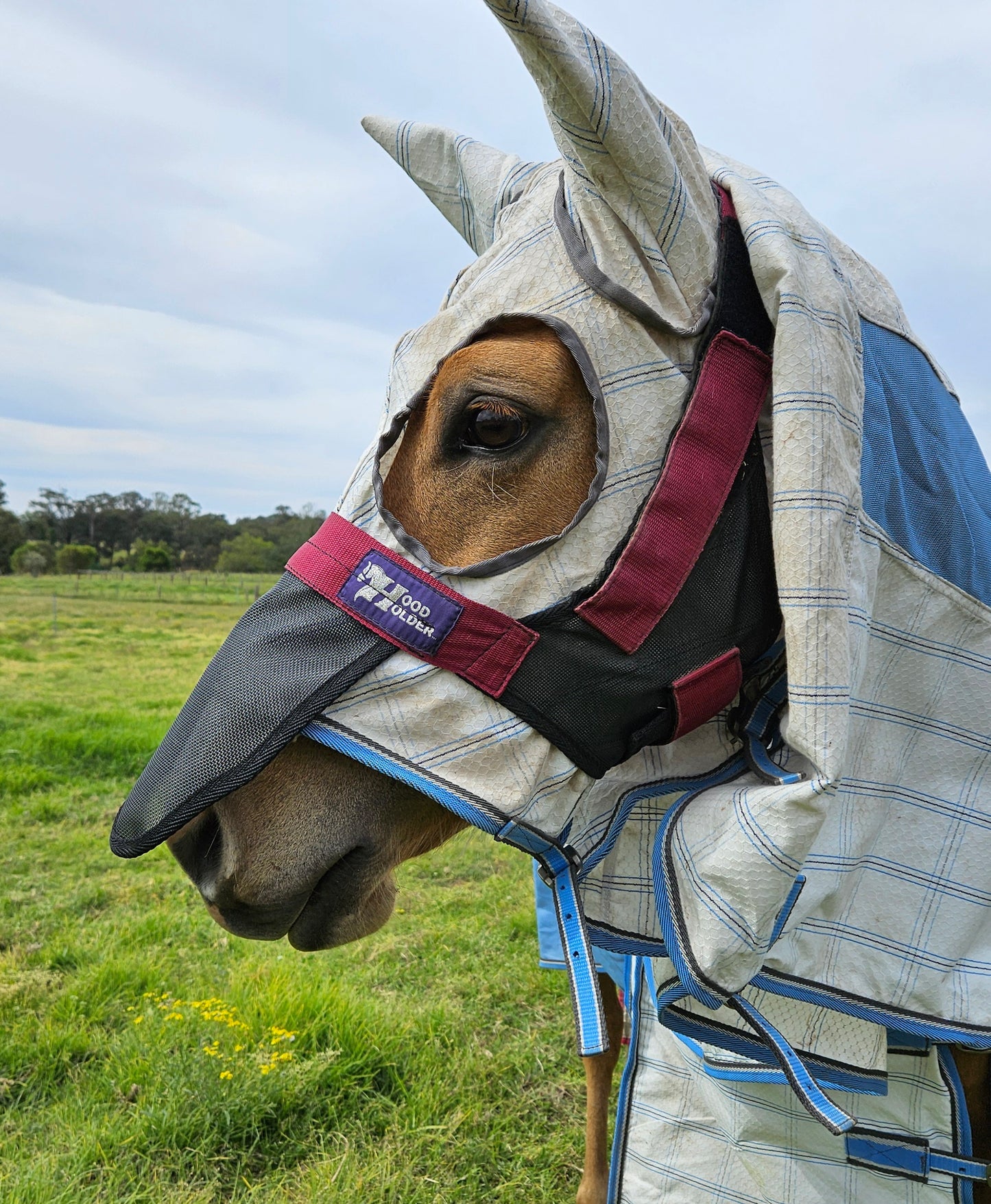 Build your HOOD HOLDER (Standard size)