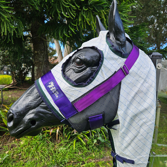 ✨️New STANDARD Hood Holder- $65