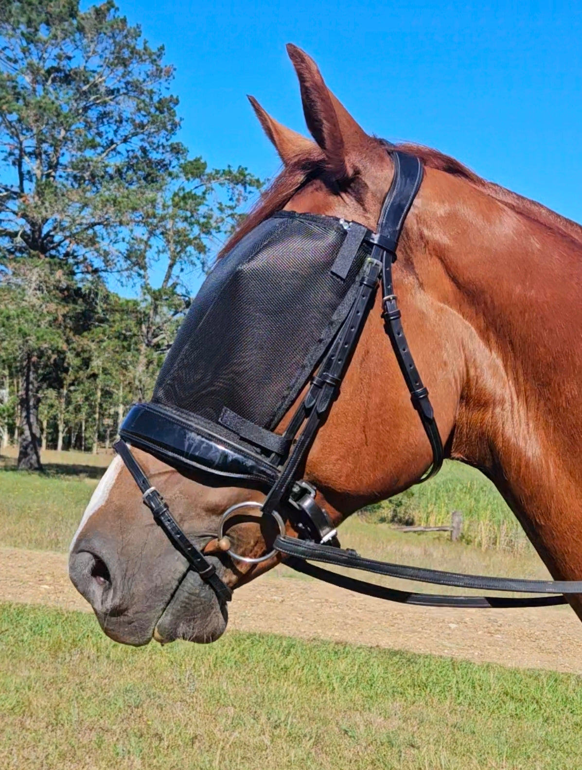 Fly Mask for Bridle $35