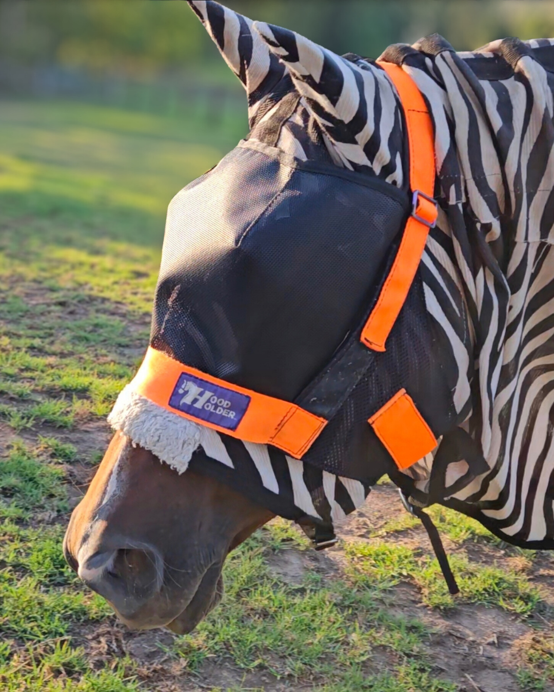 STANDARD Hood Holder w/ Fly Mask attachment $95