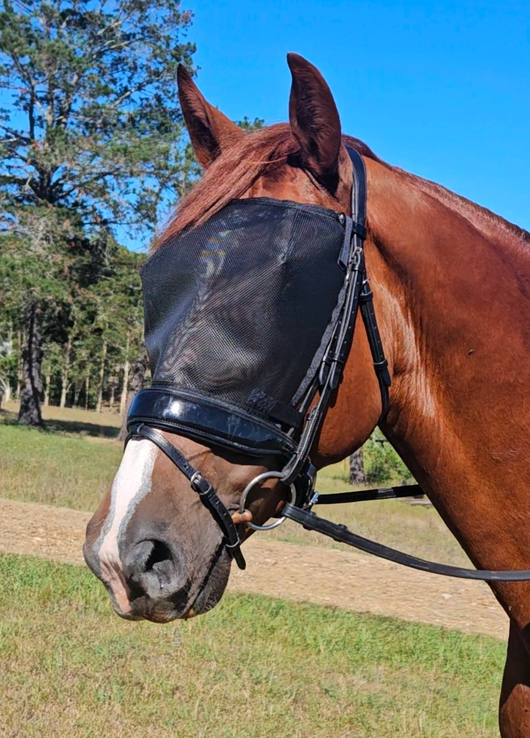 Fly Mask for Bridle $35