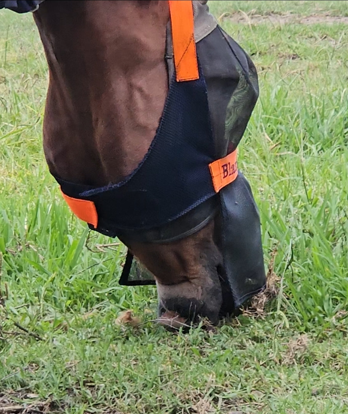 STANDARD SIZE skirt nose cover -$25