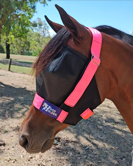 Large PONY w/ face mask